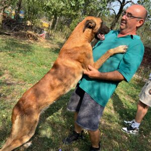 Asociatia Therapy Dogs and Cats Asociatia Therapy Dogs and Cats