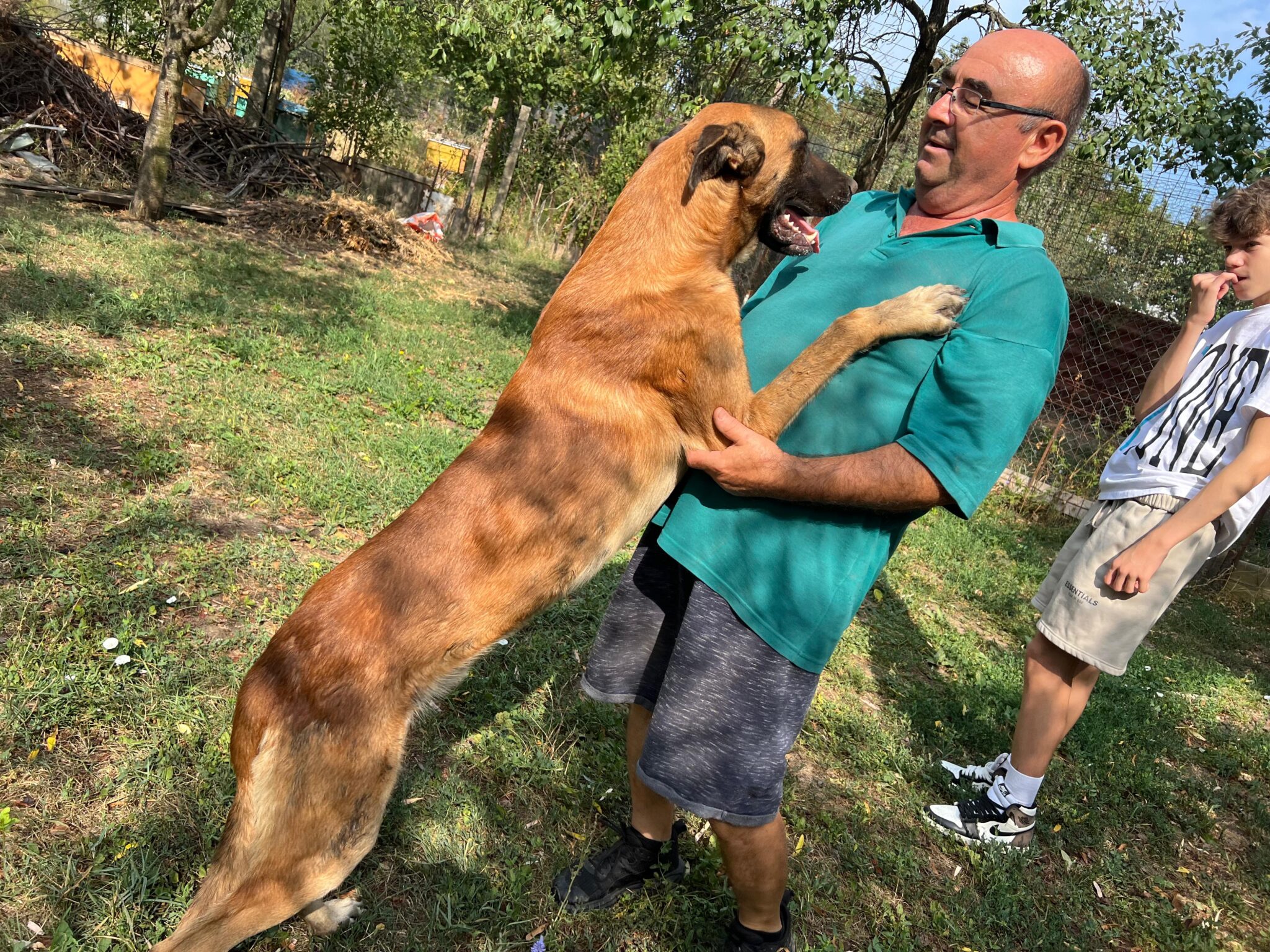 IMG-20241008-WA0070 Asociatia Therapy Dogs and Cats