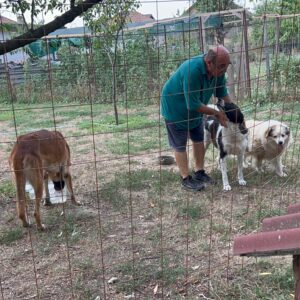 Asociatia Therapy Dogs and Cats Asociatia Therapy Dogs and Cats