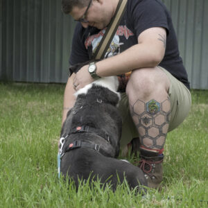 Asociatia Therapy Dogs and Cats