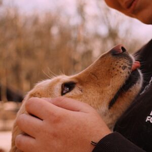 Asociatia Therapy Dogs and Cats Asociatia Therapy Dogs and Cats