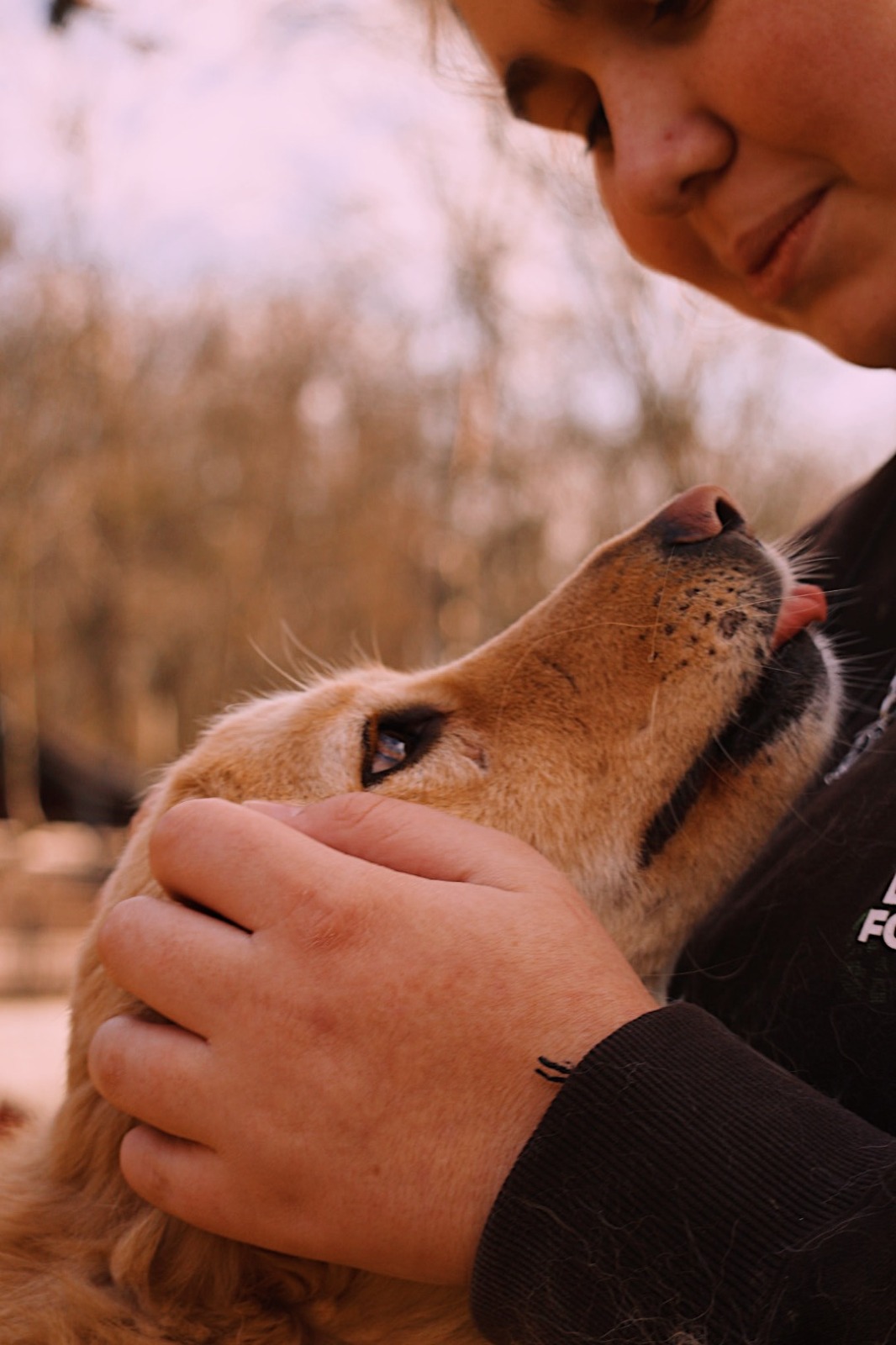IMG-20251220-WA0160 Asociatia Therapy Dogs and Cats