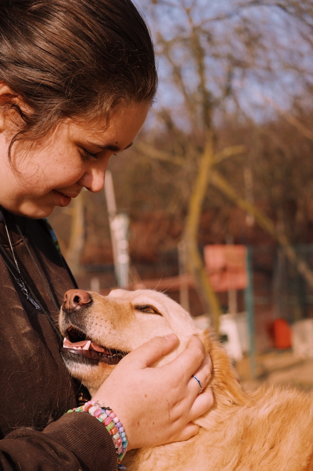 IMG-20251220-WA0165 Asociatia Therapy Dogs and Cats