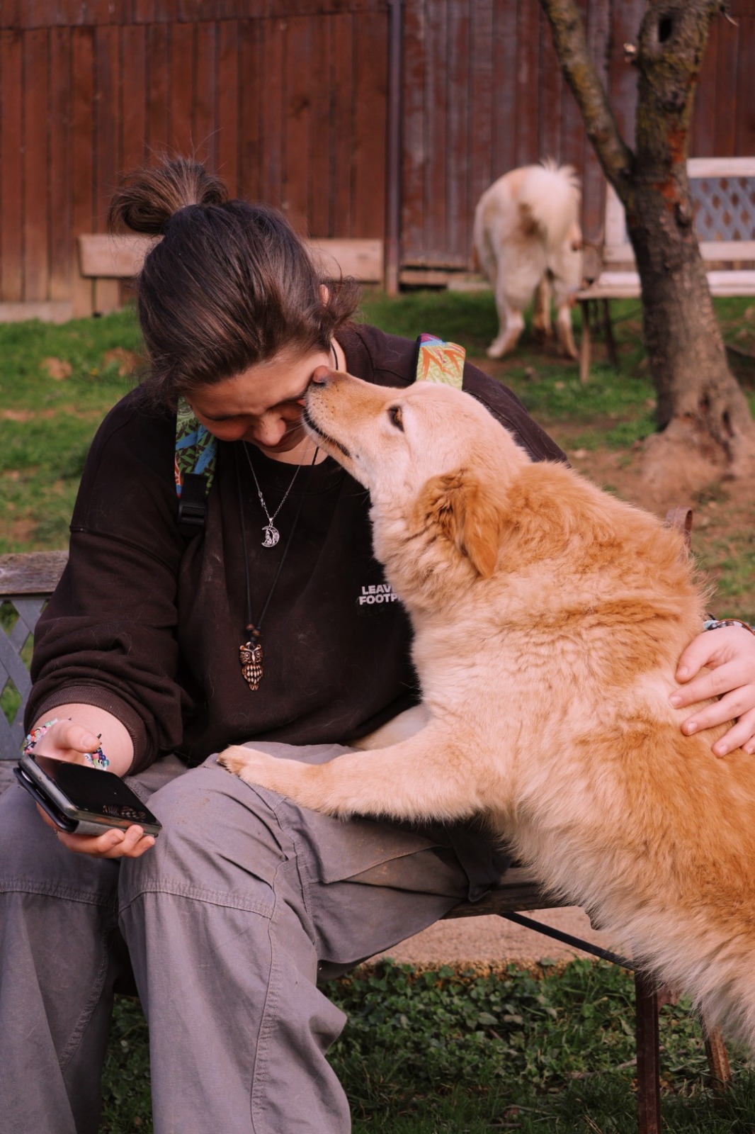 IMG-20251220-WA0173 Asociatia Therapy Dogs and Cats