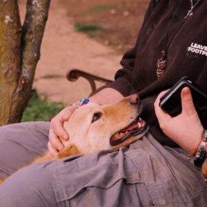 Asociatia Therapy Dogs and Cats