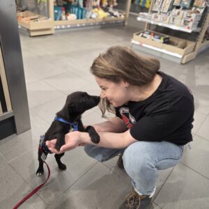 Asociatia Therapy Dogs and Cats Asociatia Therapy Dogs and Cats