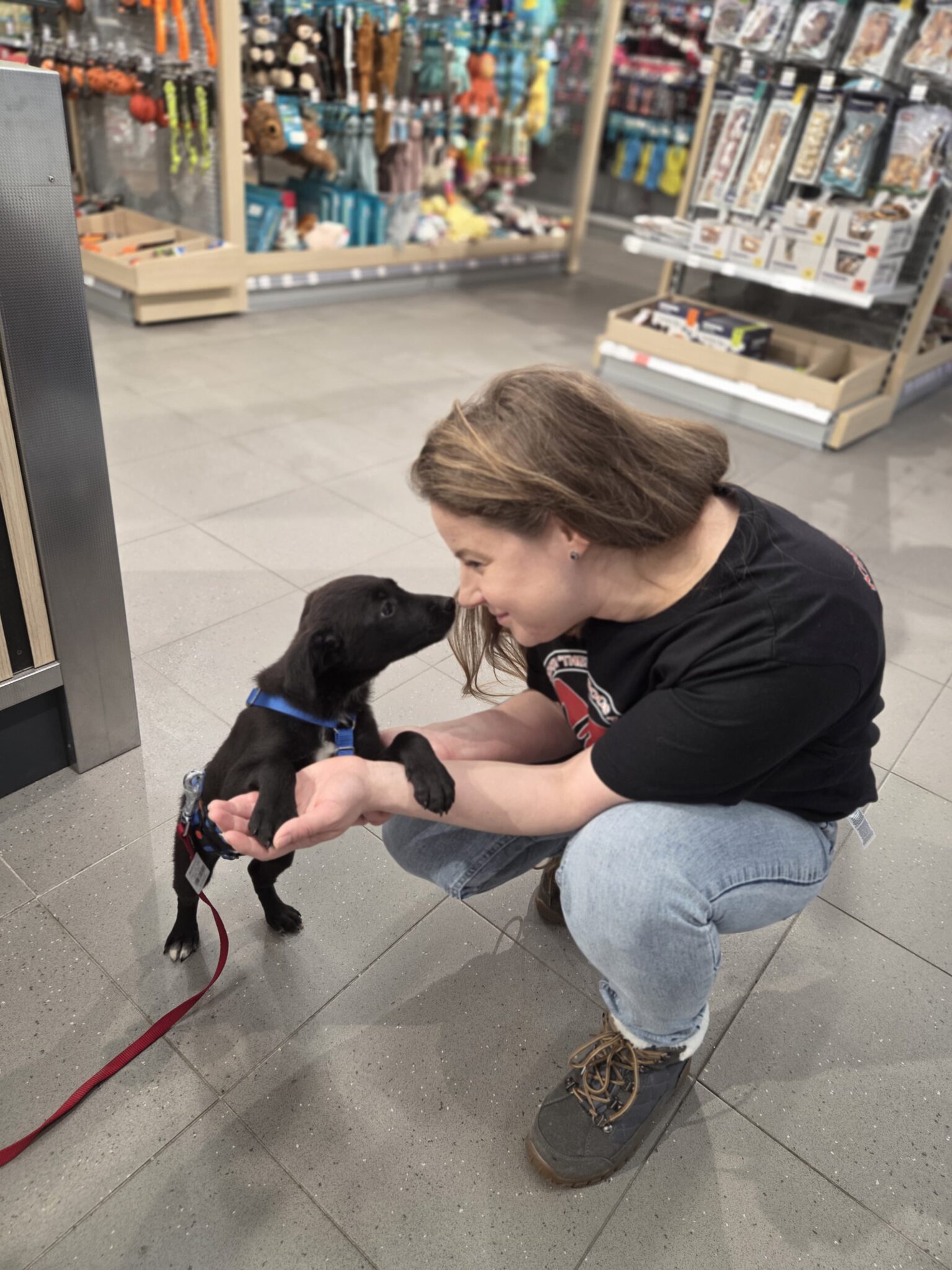 IMG-20260215-WA0219 Asociatia Therapy Dogs and Cats