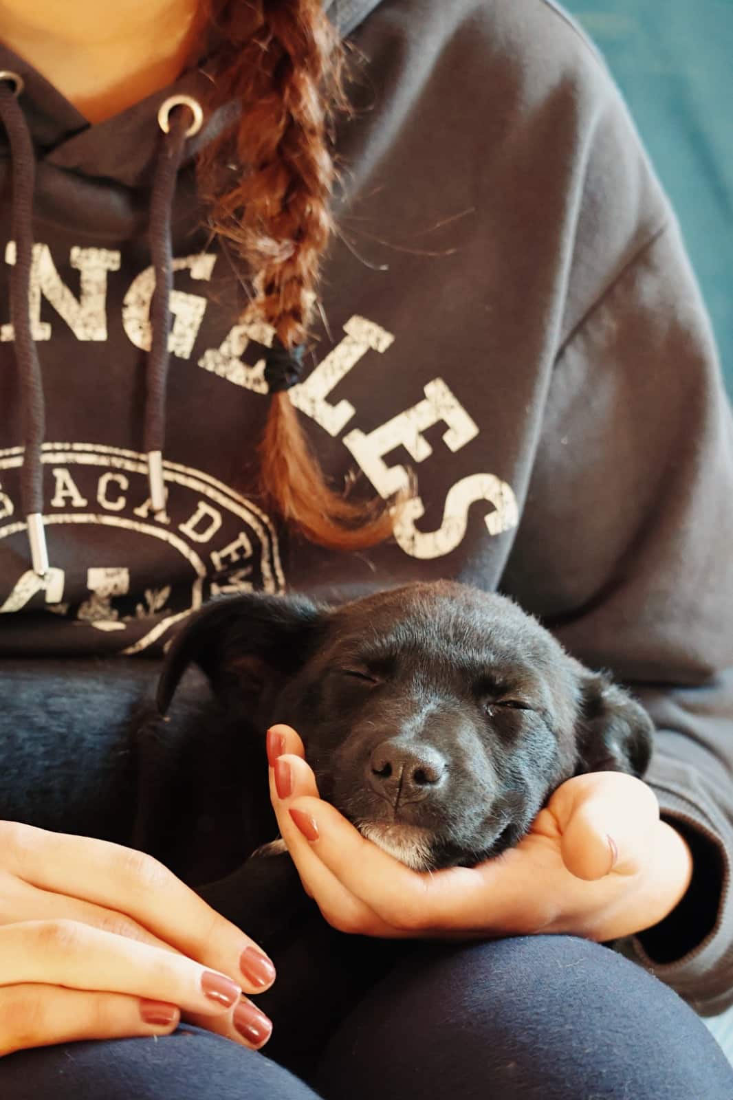 IMG-20260228-WA0019 Asociatia Therapy Dogs and Cats