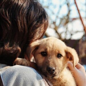 Asociatia Therapy Dogs and Cats