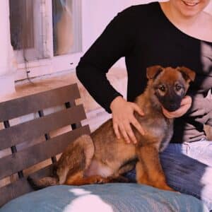 Asociatia Therapy Dogs and Cats