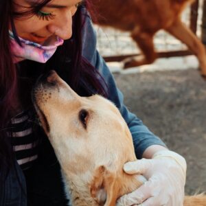 Asociatia Therapy Dogs and Cats