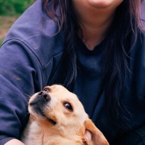 Asociatia Therapy Dogs and Cats