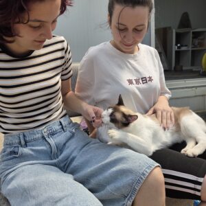 Asociatia Therapy Dogs and Cats