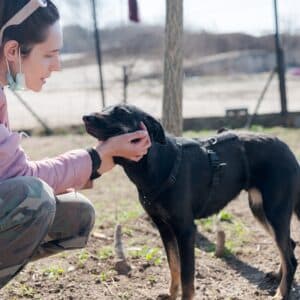 Asociatia Therapy Dogs and Cats Asociatia Therapy Dogs and Cats