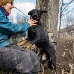Asociatia Therapy Dogs and Cats Asociatia Therapy Dogs and Cats