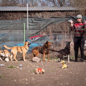 Asociatia Therapy Dogs and Cats Asociatia Therapy Dogs and Cats
