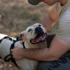 Asociatia Therapy Dogs and Cats